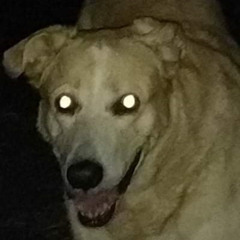 LUCKYPUNCH - OG Version