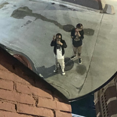 mall birds.wav