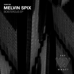 PREMIERE: Melvin Spix - Boisterous [Say What?]