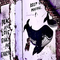 What's The Fight, Incredibly Ruthless Country // Shillmeli, a Boneshaker