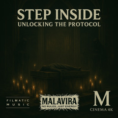 Step Inside  Unlocking the Protocol
