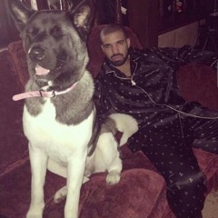 Drake Type Beat - "Dog Day"
