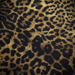 this life of mine (tr2y)