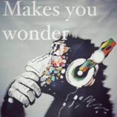 bassvictim - Makes you wonder