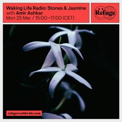 Waking Life Radio for Refuge Worldwide: Stones & Jasmine with Amir Ashkar