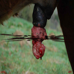 APEXX X AK47 - SPORTIX