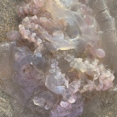 Wish i were a jellyfish