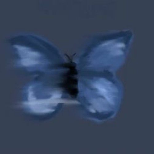 Stream BTS - Butterfly Remix by Dan Mason | Listen online for free
