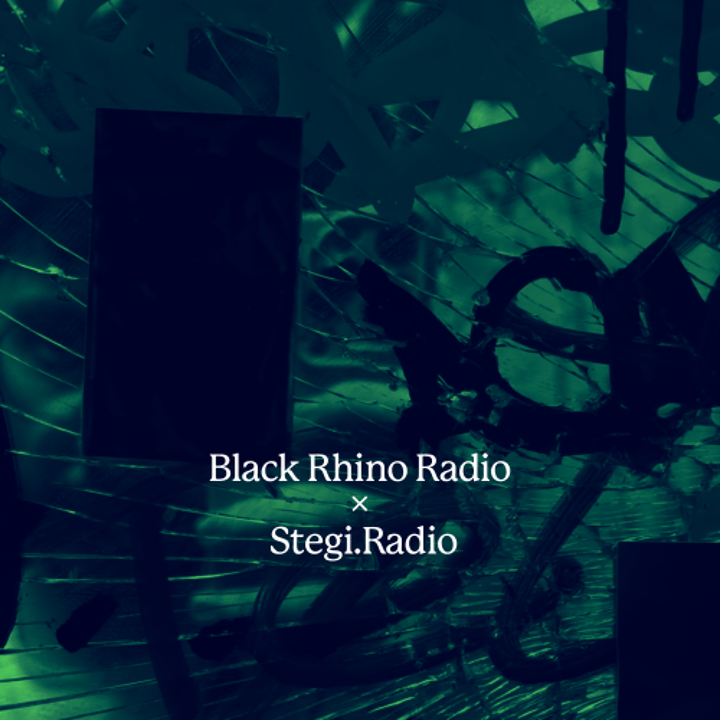 Black Rhino x Stegi: Radio Exchange w/ nameproblem (23.05.2026) episode artwork