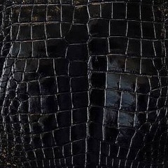 alligator (sustain)