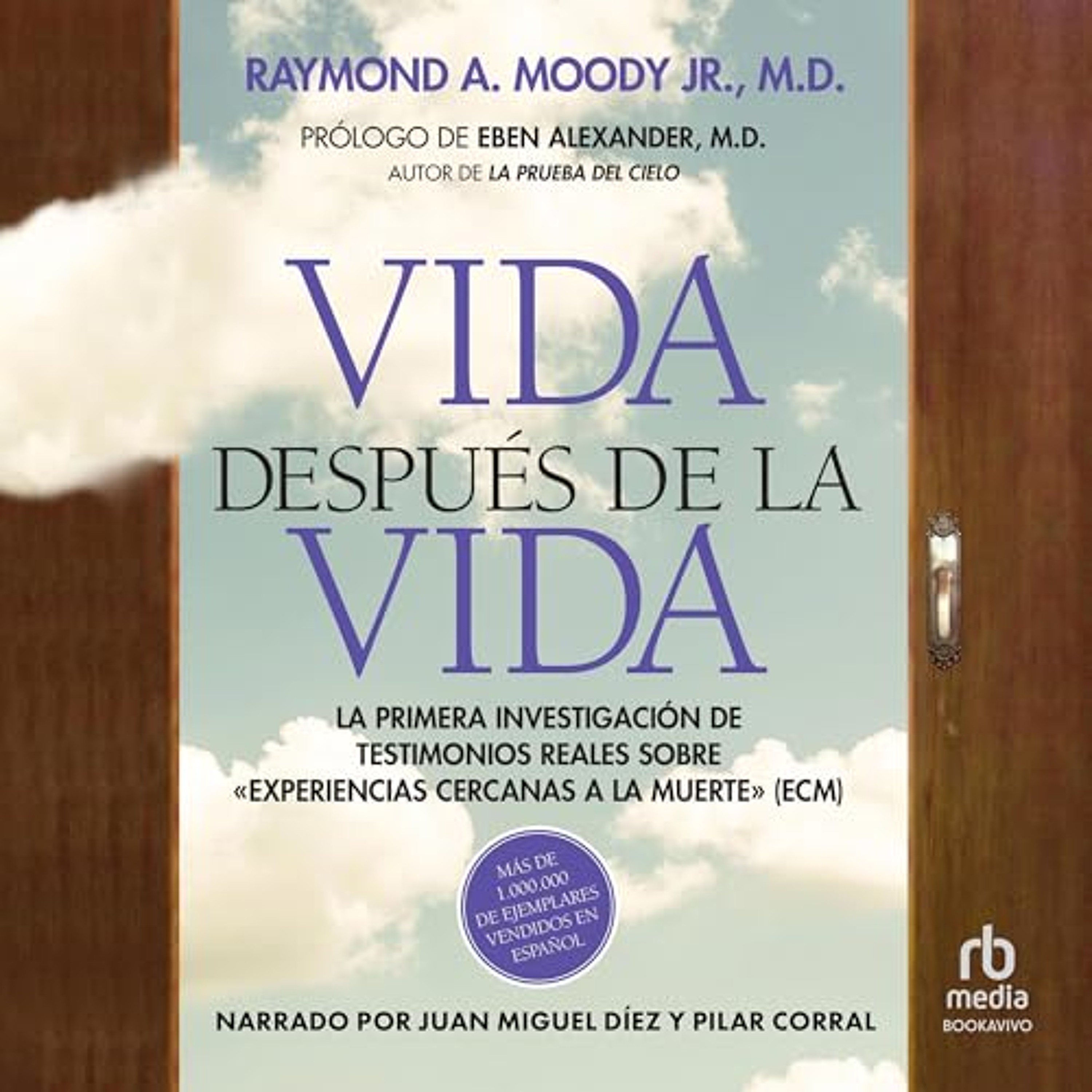 Vida después de la vida (Audiolibro) | Prueba Gratis
