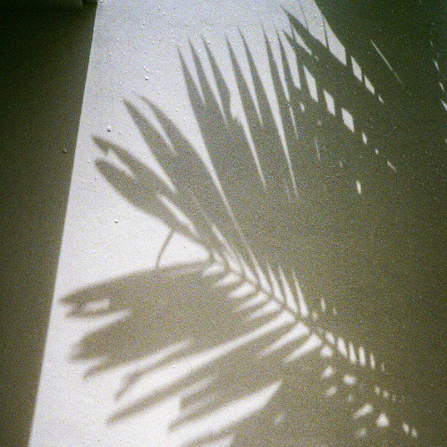 Spring Vibes (Recorded live from Badhuis March 2025)