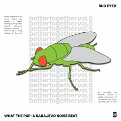 What The PUP! & Sarajevo Noise Beat - bug eyed