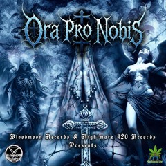 INSOMNICANIBAL - interview - 165bpm.wav