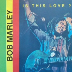 Bob Marley: Is This Love - DSF remix