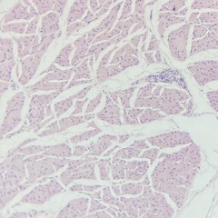 nada hago tan bien (mal)