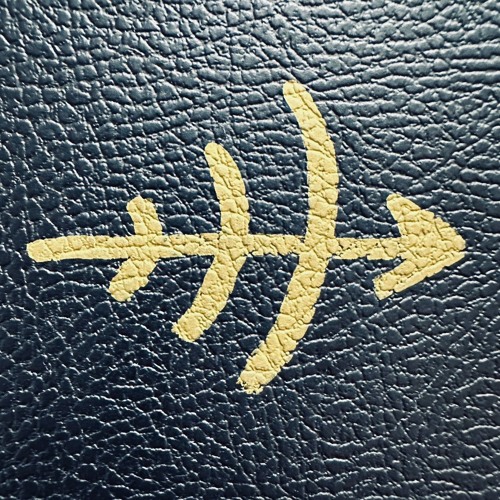 DUSK / SURFACE TENSION (inofficial Yan Cook mashup) - MOATRAX