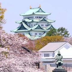 Nagoya Castle Accessibility Debacle Continues