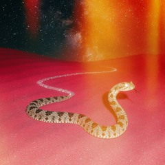 Sidewinder (WIP)