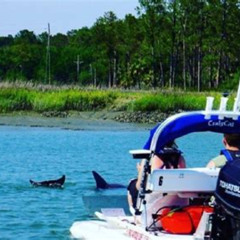 Review Special Price Hilton Head Island Guided Water Tour By Creek Cat Boat