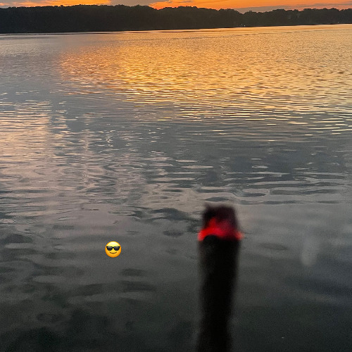 HEY