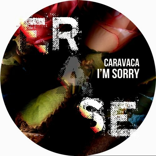 I'm Sorry (Alex Meireles Rmx)