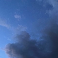 in an ideal world... 「 prod. 1manosrevenge 」