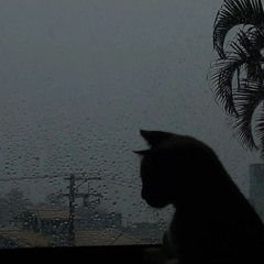 gloomy bed