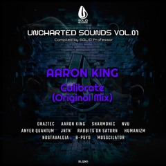 Aaron King - Calibrate (Original Mix) [Soliq Records]