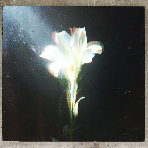 Light That Leads Me (with Bebe Rexha)