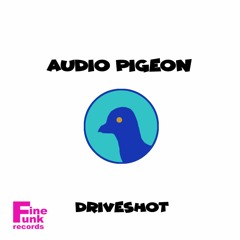 Audio Pigeon/Driveshot snippet