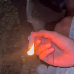 malhas