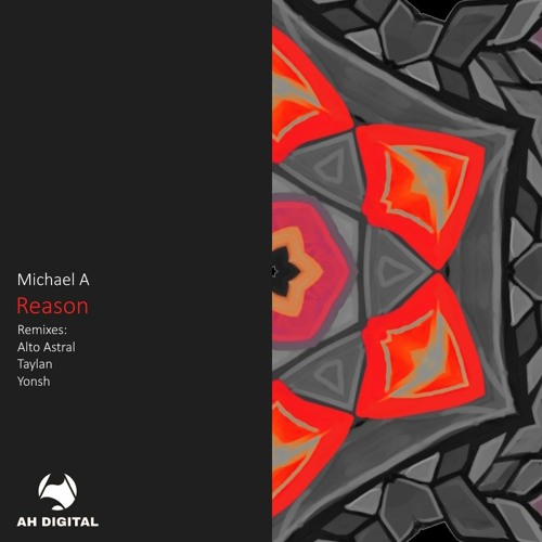 Michael A - Reason (Taylan Remix)