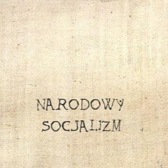 Narodowy Mediewizm