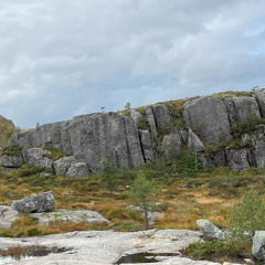 forfedre kjøretur ancestral drive