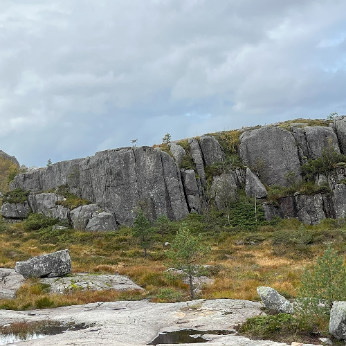 forfedre kjøretur ancestral drive