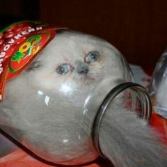 VSF BORYGIN - DL (PROD. BY ARLES)