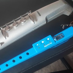 Recordings using Artinoise re.corder or Casio DH-100