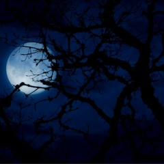 WHERE MY HEART RESIDES