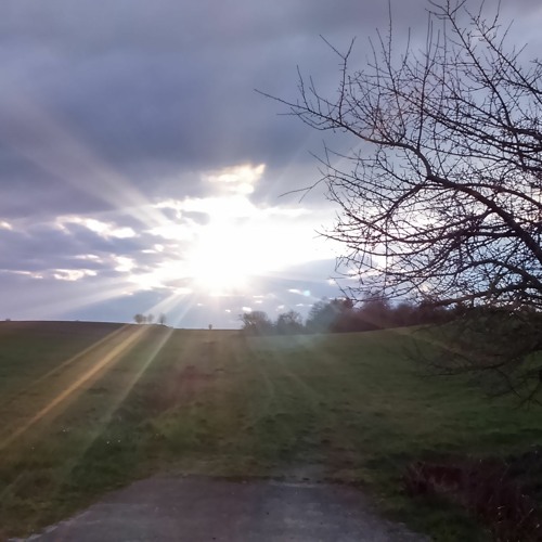 glimpse of joy [and compression]