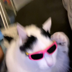 syrup*! (p. classik)