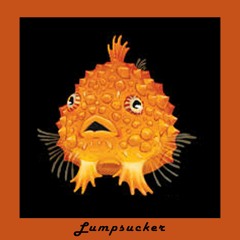 Lumpsucker