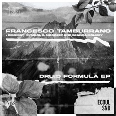 PREMIERE: Francesco Tamburrano - Druid