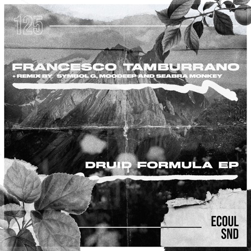 PREMIERE: Francesco Tamburrano - Druid