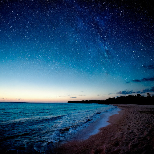 On a Summer Night