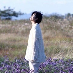 WILD FLOWER BUTTERFLY [RM x BTS extended piano mix]