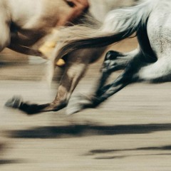 tie your shoes prod strgzin