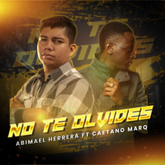 No Te Olvides (feat. Caetano Márq)