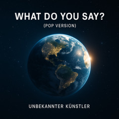 What Do You Say? (Pop Version)