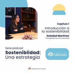 Introducción a la sostenibilidad | Sostenibilidad: Una estrategia | Cap 1